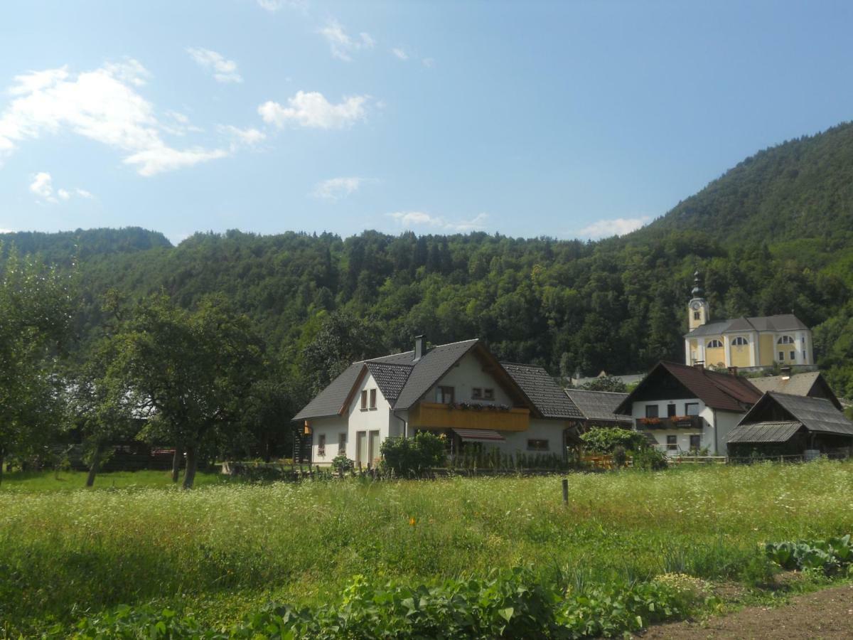 Apartmaji Bremec 보히니 외부 사진